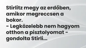 Vicc: Stirlitz megy az erdőben, amikor megreccsen a bokor.

-…