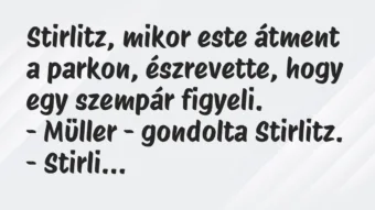Vicc: Stirlitz, mikor este átment a parkon, észrevette, hogy egy szempár… Vicc: Stirlitz, mikor este átment a parkon, észrevette, hogy egy szempár…