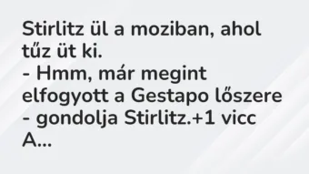 Vicc: Stirlitz ül a moziban, ahol tűz üt ki.

– Hmm, már megint…