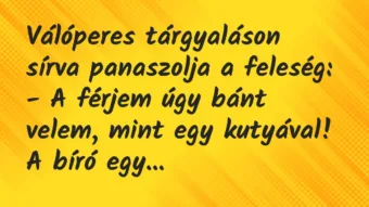 Vicc: Válóperes tárgyaláson sírva panaszolja a feleség:

– A férjem úgy…