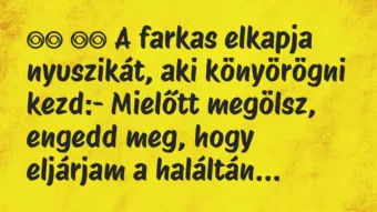 Viccek: 
		  
		  A farkas elkapja nyuszikát, aki könyörögni…