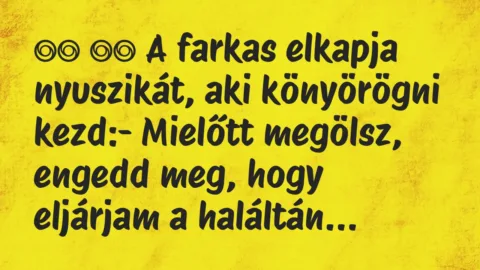 Viccek: 
		  
		  A farkas elkapja nyuszikát, aki könyörögni…