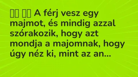 Viccek: 
		  
		  A férj vesz egy majmot, és mindig azzal…