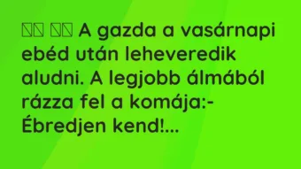 Viccek: 
		  
		  A gazda a vasárnapi ebéd után leheveredik aludni….