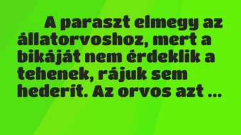 Viccek: 
		  
		  A paraszt elmegy az állatorvoshoz, mert a bikáját…