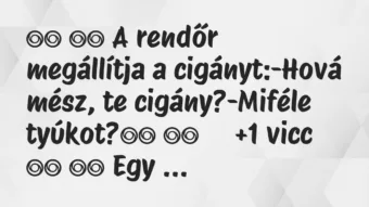 Viccek: 
		  
		  A rendőr megállítja a cigányt:-Hová mész, te …