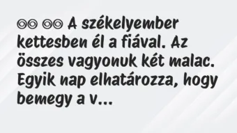 Viccek: 
		  
		  A székelyember kettesben él a fiával. Az összes…