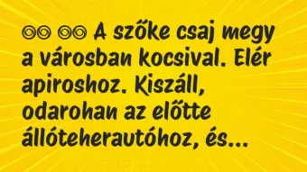 Viccek: 
		  
		  A szőke csaj megy a városban kocsival. Elér…