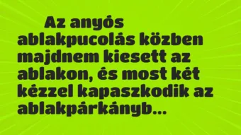 Viccek: 
		  
		  Az anyós ablakpucolás közben majdnem kiesett az…
