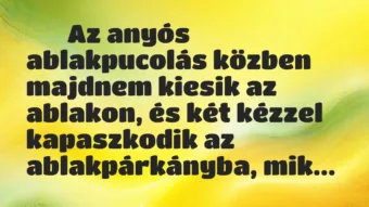 Viccek:
Az anyós ablakpucolás közben majdnem kiesik az… Viccek:
Az anyós ablakpucolás közben majdnem kiesik az…