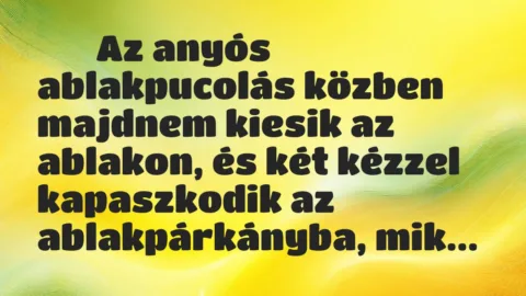 Viccek: 
		  
		  Az anyós ablakpucolás közben majdnem kiesik az…