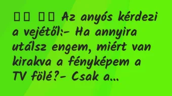 Viccek: 
		  
		  Az anyós kérdezi a vejétől:- Ha annyira…