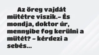 Viccek:
Az öreg vajdát műtétre viszik.- És mondja,… Viccek:
Az öreg vajdát műtétre viszik.- És mondja,…