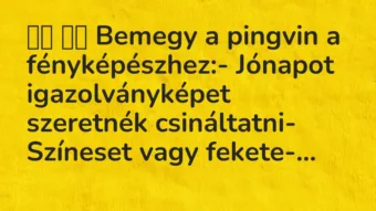 Viccek:
Bemegy a pingvin a fényképészhez:- Jónapot… Viccek:
Bemegy a pingvin a fényképészhez:- Jónapot…