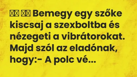 Viccek: 
		  
		  Bemegy egy szőke kiscsaj a szexboltba és…