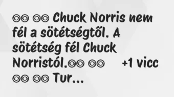 Viccek: 
		  
		  Chuck Norris nem fél a sötétségtől. A sötétség…