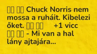 Viccek:
Chuck Norris nem mossa a ruháit. Kibelezi őket…. Viccek:
Chuck Norris nem mossa a ruháit. Kibelezi őket….
