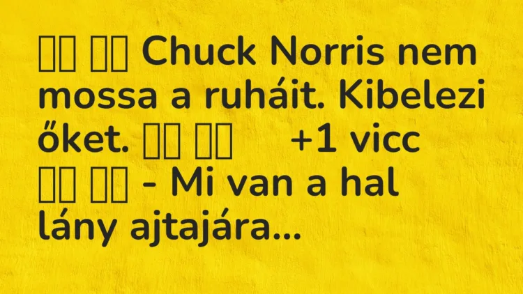Viccek:
Chuck Norris nem mossa a ruháit. Kibelezi őket…. Viccek:
Chuck Norris nem mossa a ruháit. Kibelezi őket….