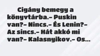 Viccek: 
		  
		  Cigány bemegy a könyvtárba.- Puskin van?-…