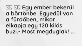 Viccek: 
		  
		  Egy ember bekerül a börtönbe. Egyedül van a…