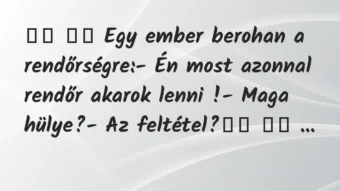 Viccek: 
		  
		  Egy ember berohan a rendőrségre:- Én most…