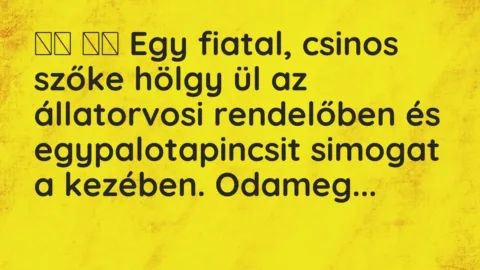 Viccek: 
		  
		  Egy fiatal, csinos szőke hölgy ül az állatorvosi …