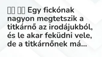 Viccek: 
		  
		  Egy fickónak nagyon megtetszik a titkárnő az…