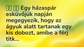 Viccek: 
		  
		  Egy házaspár esküvőjük napján megegyezik, hogy az…