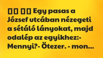 Viccek: 
		  
		  Egy pasas a József utcában nézegeti a sétáló lány…