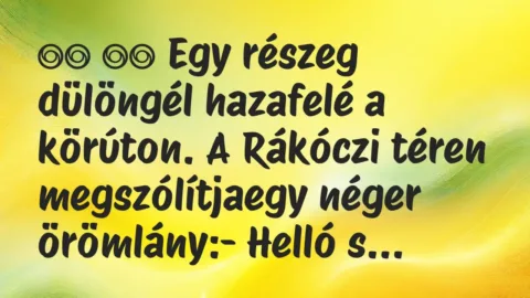 Viccek: 
		  
		  Egy részeg dülöngél hazafelé a körúton. A Rákóczi…