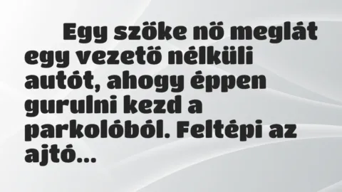 Viccek: 
		  
		  Egy szőke nő meglát egy vezető nélküli autót,…