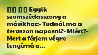 Viccek: 
		  
		  Egyik szomszédasszony a másikhoz:- Tudnál ma …