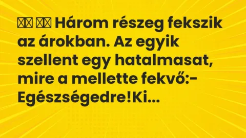 Viccek: 
		  
		  Három részeg fekszik az árokban. Az egyik…