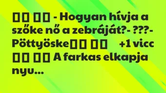 Viccek:
– Hogyan hívja a szőke nő a zebráját?- ??? Viccek:
– Hogyan hívja a szőke nő a zebráját?- ???