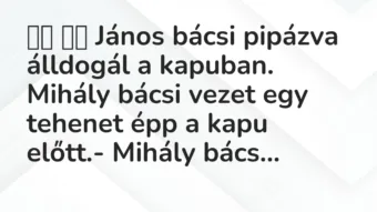 Viccek: 
		  
		  János bácsi pipázva álldogál a kapuban. Mihály…