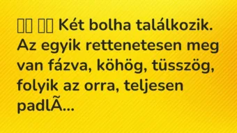 Viccek: 
		  
		  Két bolha találkozik. Az egyik rettenetesen meg…