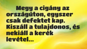 Viccek: 
		  
		  Megy a cigány az országúton, egyszer csak…