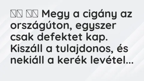 Viccek:
Megy a cigány az országúton, egyszer csak… Viccek:
Megy a cigány az országúton, egyszer csak…