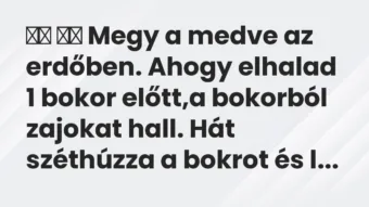 Viccek: 
		  
		  Megy a medve az erdőben. Ahogy elhalad 1 bokor…
