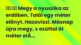 Viccek: 
		  
		  Megy a nyuszika az erdőben. Talál egy méter…