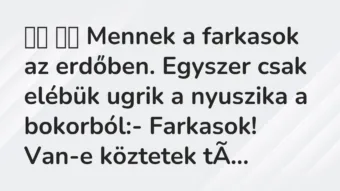 Viccek:
Mennek a farkasok az erdőben. Egyszer csak elébük… Viccek:
Mennek a farkasok az erdőben. Egyszer csak elébük…