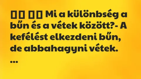 Viccek: 
		  
		  Mi a különbség a bűn és a vétek között?- A…