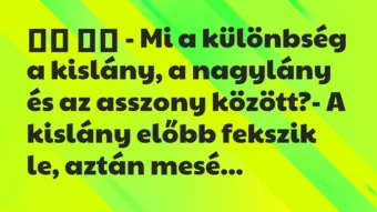 Viccek: 
		  
		  – Mi a különbség a kislány, a nagylány és az…