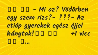 Viccek: 
		  
		  – Mi az? Vödörben egy szem rizs?- ???- Az…