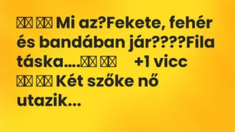 Viccek: 
		  
		  Mi az?Fekete, fehér és bandában…