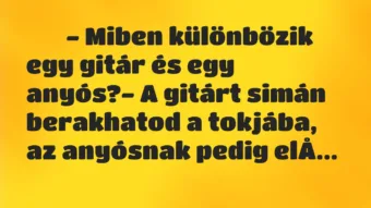Viccek: 
		  
		  – Miben különbözik egy gitár és egy anyós?- A…