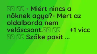 Viccek: 
		  
		  – Miért nincs a nőknek agya?- Mert az…