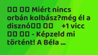 Viccek:
Miért nincs orbán kolbász?még él a… Viccek:
Miért nincs orbán kolbász?még él a…