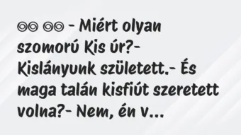 Viccek: 
		  
		  – Miért olyan szomorú Kis úr?- Kislányunk…