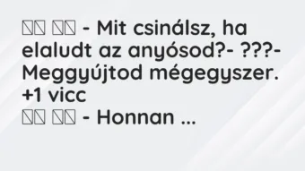 Viccek: 
		  
		  – Mit csinálsz, ha elaludt az anyósod?-…
